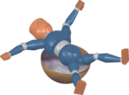 Weightlessness is simulated in the near-horizontal position